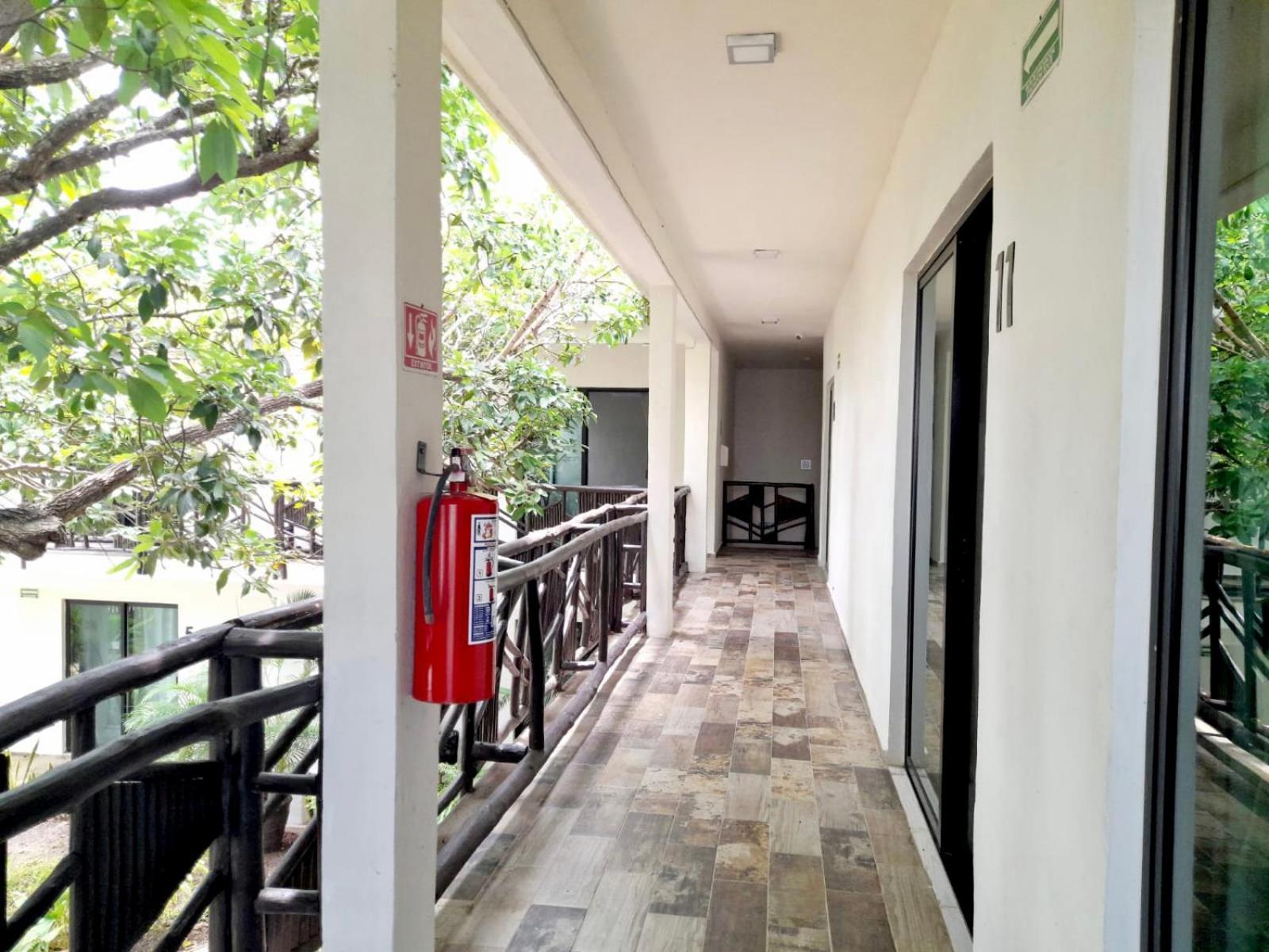 Hotel Brisas 巴卡拉尔 外观 照片