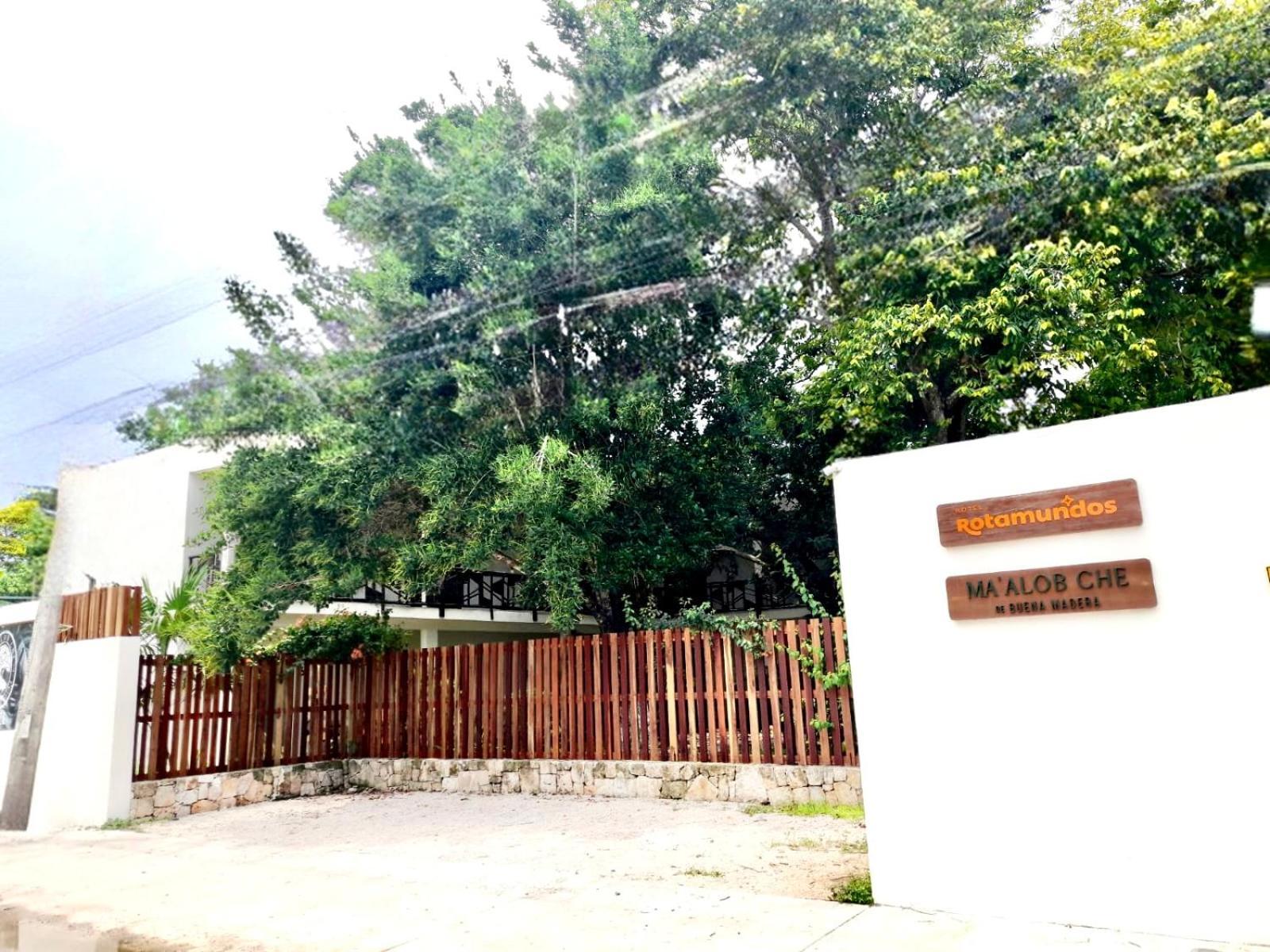 Hotel Brisas 巴卡拉尔 外观 照片