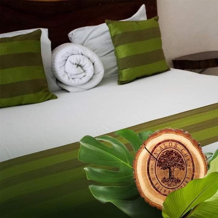 Hotel Brisas 巴卡拉尔 外观 照片