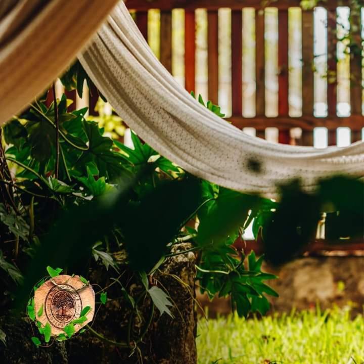 Hotel Brisas 巴卡拉尔 外观 照片