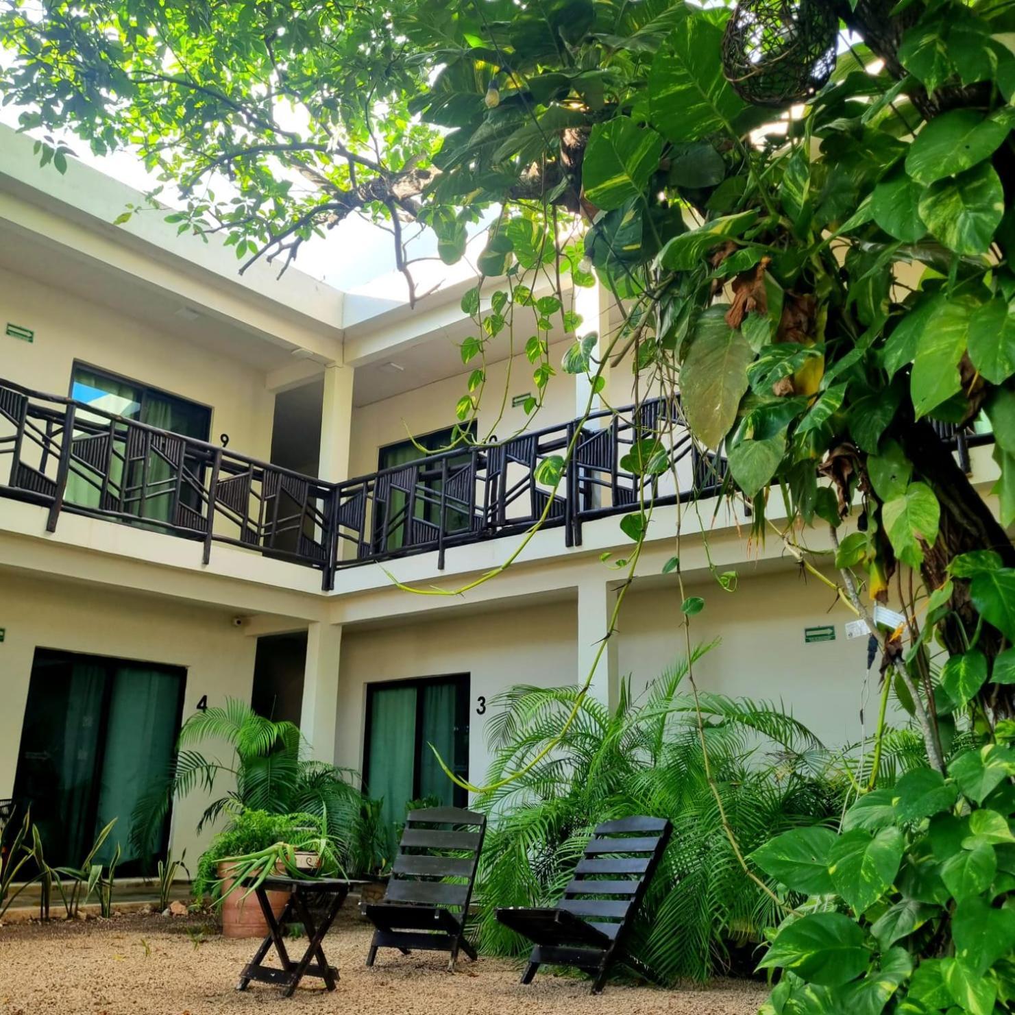 Hotel Brisas 巴卡拉尔 外观 照片