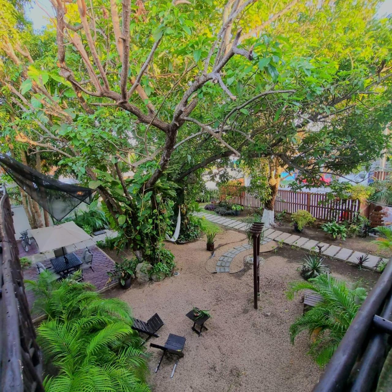 Hotel Brisas 巴卡拉尔 外观 照片
