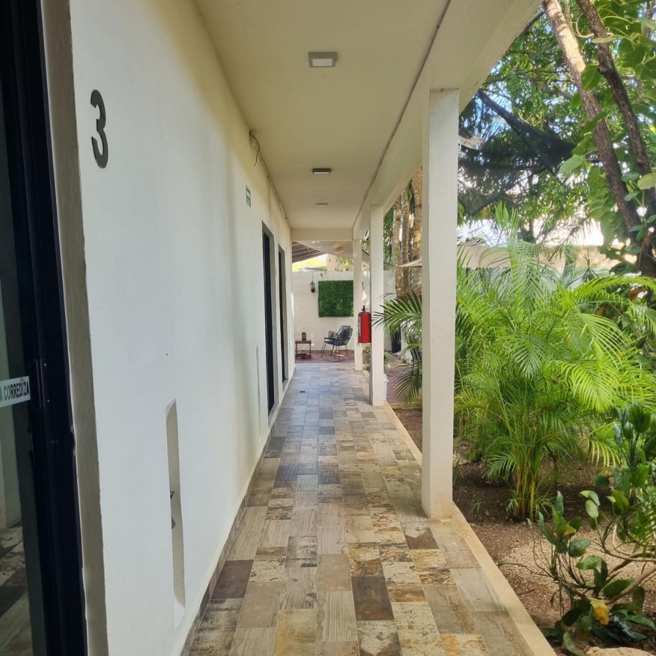 Hotel Brisas 巴卡拉尔 外观 照片